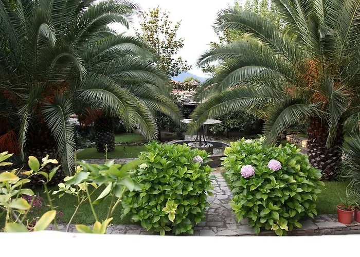 Miramare 3* クリッシ・アモウディア